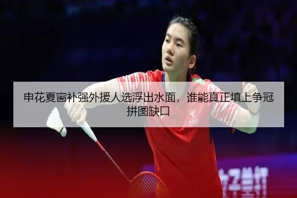 申花夏窗补强外援人选浮出水面，谁能真正填上争冠拼图缺口